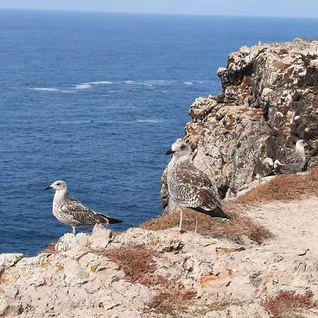 Sunset Room - Costa Vicentina 4* Odeceixe